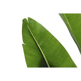 Planta Tropical DKD Home Decor Verde 100 x 210 x 100 cm (2 Unidades) Planta Tropical DKD Home Decor Verde 100 x 210 x 100 cm (2 Unidades)