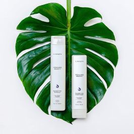 Lanza Tamanu Cream Shampoo 300 mL