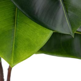 Rama Magnolia Verde Artificial 50 X 30 X 120 cm