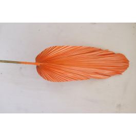 DKD Home Decor Rama Rosa Naranja 2 x 148 x 22 cm (12 Unidades)