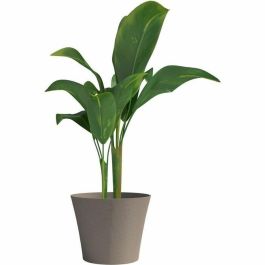Garden Id 02041207 Maceta Green Care Sense Taupe 50x41 cm, 100% Reciclada, Resistencia a Rayos UV y Heladas, 10 Años Garantía