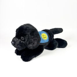 Peluche Labrador Negro 21Cm Con Chaleco 939D00249 Bocalan Precio: 19.94999963. SKU: B132HDAL9H