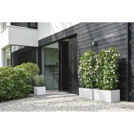 Maceta Elho 29,5 x 29,5 x 49,5 cm Blanco Plástico Cuadrado Moderno Precio: 55.59000029. SKU: B1CZM3M526