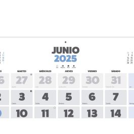 Calendario Pared Liderpapel Clasico 2025 Lomo Engomado 30x30 cm Papel 105 gr