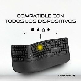 Teclado Inalámbrico Owlotech EK500 Negro Qwerty Español