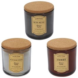 Home Deco Factory Vela Perfumada Apothicaire - Ámbar, Flor de Algodón, Almizcle Blanco - 270g, 35h