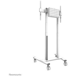 Soporte TV Neomounts FL55-875WH1