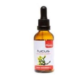 Extracto De Fucus Precio: 8.69. SKU: B19RXLFNE9