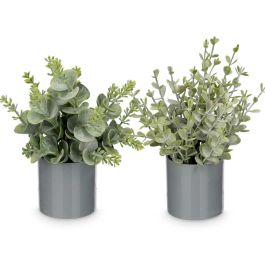 Ibergarden Maceta Cilindro Hojas Verde Surtidos 10x18x10 cm (Set de 36)