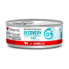 Disugual Diet Cat Recovery Cordero 12x85 gr Precio: 16.5. SKU: B1FG4AQNC3