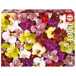Puzzle 1000 Collage De Orquídeas 19558 Educa Precio: 9.9499994. SKU: B1BWJZMBXG