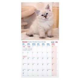 Calendario (2026) Dohe Pared Imagenes Mensual Para Escribir 300X300 Gatos Calendario (2026) Dohe Pared Imagenes Mensual Para Escribir 300X300 Gatos Precio: 10.50000006. SKU: B129HDLWZN