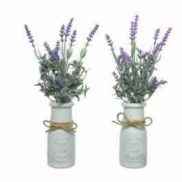 Planta Decorativa Everlands Maceta Lavanda (Ø 13 x 32 cm) Precio: 9.5000004. SKU: S7911109