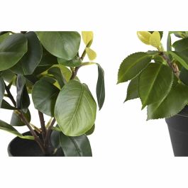 Planta Decorativa DKD Home Decor Verde PP PE Ficus (2 Unidades) (21 x 18 x 30 cm)