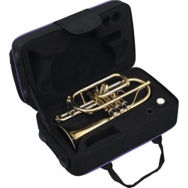 SML Corneta Sib Co50 SML Ancho 18cm Alto 27cm Largo 44cm Instrumento Musical de Viento Madera Laton Brillo