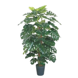 Planta Tropical DKD Home Decor Verde 80 x 150 x 80 cm (2 Unidades) Precio: 255.6900005. SKU: B1GDWJPWS4