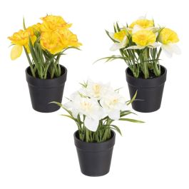 Planta 3/M Blanco-Amarillo Artificial 19 X 16 X 21 cm Precio: 4.4286. SKU: B19T4KN28P