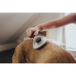 Hunter Cepillo Cardar Autolimpiable para Perros Talla S, Púas Acero Inoxidable. Elimina Pelo Muerto y Subpelo, Mango Ergonómico Marrón.