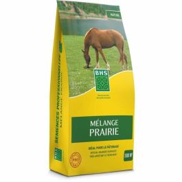 BHS BHS3366671000570 Césped Mezcla para Pradera 5 kg - Cubre 500m² - Para Zonas Extensas y Pastos - Rápido, Duradero, Bajo Mantenimiento Precio: 92.50000001. SKU: B1GYNMRQ9L