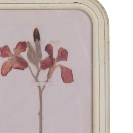 Cuadro Impresión Flores 4/M Dm-Cristal 25 X 2 X 50 cm