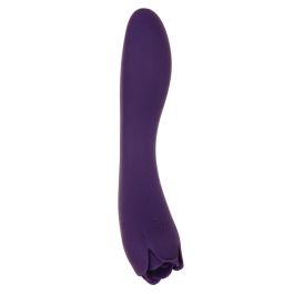 Vibrador Evolved Morado Vibrador Evolved Morado