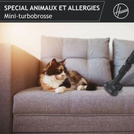 Hoover He530alg Solder Aspiradora con bolsa, poderoso 850 W, silenciador 69dB, alergia especial de 3.5l 3.5L y pelos de animales Hoover He530alg Solder Aspiradora con bolsa, poderoso 850 W, silenciador 69dB, alergia especial de 3.5l 3.5L y pelos de animales