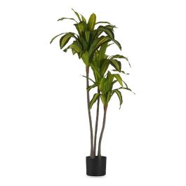 Planta Decorativa Ibergarden BRS-ADK105 Plástico Hoja ancha 70 x 120 x 70 cm Precio: 129.98999992. SKU: S3611151