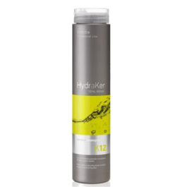 Erayba Champú Keratin Hydraker 250ml - Hidratante y Reparador con Aceite de Argán, sin Sal ni Sulfatos Precio: 7.49999987. SKU: B14G6X3FJB