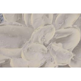 DKD Home Decor Cuadro Moderno Lienzo Pintado Mano Azul Blanco 4 x 143 x 103 cm (2 Unidades)