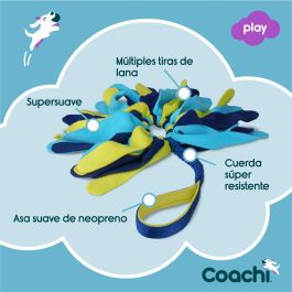 Coachi Tuggi Spider Azul-Lima-Azul Claro Coachi Tuggi Spider Azul-Lima-Azul Claro