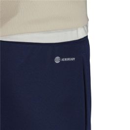 Pantalón de Entrenamiento de Fútbol para Adultos Adidas Entrada22 Azul oscuro Hombre XL