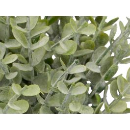 Ibergarden Maceta Cuadrada Decorativa con Diseño Hojas Verdes Surtidos de Plástico y Cemento, 20 cm Ancho x 35 cm Alto x 15 cm Fondo (24 Unidades) Ibergarden Maceta Cuadrada Decorativa con Diseño Hojas Verdes Surtidos de Plástico y Cemento, 20 cm Ancho x 35 cm Alto x 15 cm Fondo (24 Unidades)
