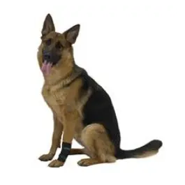 Kruuse Protector Carpal Rehab L para perros - Soporte para articulaciones del carpo, artritis o lesiones, tallas XS a XL Precio: 33.4999995. SKU: B1DTL47Z89