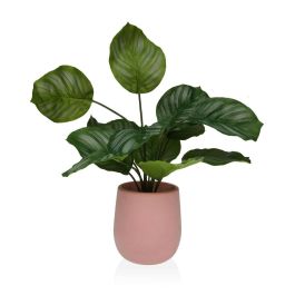 Planta Decorativa Versa 15 x 44 x 15 Cemento Plástico Precio: 19.49999942. SKU: S3410681