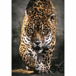 Clementoni CLE8005125399475 Puzzle Compacto 1000 Piezas - Paseo del Jaguar