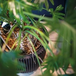 Capi Europe Florero Elegant Groove 46x58 cm Negro 445497