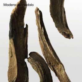 Calvin Klein CK ONE ESSENCE EDP Vapo 50 ml Eau de Parfum Unisex