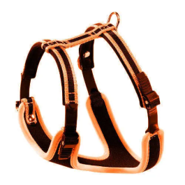 Ferplast Arnés Ergocomfort S Naranja A: 32-42 cm B: 46-56 cm Precio: 32.99000023. SKU: B1G9725FX8