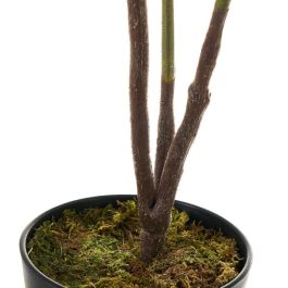 Planta Decorativa Polietileno Plástico Ficus 40 x 40 x 75 cm Planta Decorativa Polietileno Plástico Ficus 40 x 40 x 75 cm