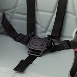 Thermobaby Trona Handy Cómoda Plegable Fácil de Almacenar y Transportar