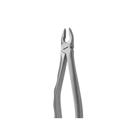Covetrus Forceps 1100 N1 Pinzas de extracción para incisivos y caninos Precio: 77.59000007. SKU: B17QRH8WY4