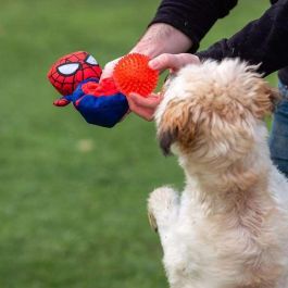 Peluche para perro pelota spiderman 11.0 x 18.0 x 10.0 cm