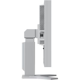 EIZO S2134-GY Monitor 21.3" 1600x1200 UXGA IPS DVI+DP+USB Gris