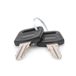 Digitus DN-KEY-WM Llaves para Armarios Murales Serie Dynamic SOHO 10" y 19", Carga, Cierre, Negro/Plata, 2 Piezas