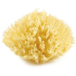 Thermobaby Esponja Marina Nido de Abeja nº 10 Precio: 25.69000005. SKU: B1AZBLV8Q9