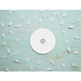 Q-connect CD-R con Superficie 100% Imprimible para Inkjet, Capacidad 700MB, Duración 80min, Velocidad 52x, Bote de 50 Unidades