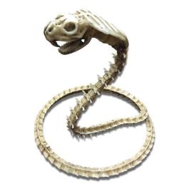 My Other Me Cobra Esqueleto Figura Decorativa 50x43x13 cm - Edad Mínima 3 Años