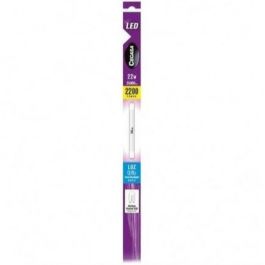 Bombilla LED Cegasa Precio: 11.49999972. SKU: B1KM3LCMQV