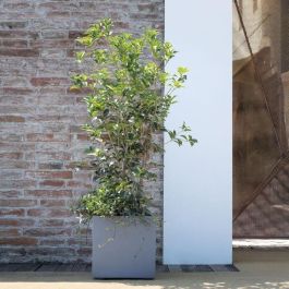 Deroma 9H81ZSZ217 Maceta Cubo Millennium R Autorriego Gris Ceniza 39 cm