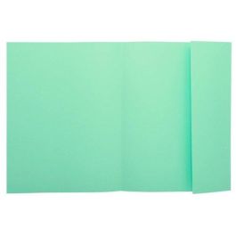 Exacompta Nature Future Subcarpeta DIN A4 Verde 160g/m² con Solapa Interior Precio: 32.69000009. SKU: B1EC58L73W